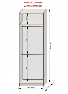 Шкаф распашной серия «ЗЕВС» (PL3/С1/PL2) в Ишиме - ishim.ok-mebel.com | фото 12