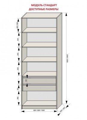 Шкаф распашной серия «ЗЕВС» (PL3/С1/PL2) в Ишиме - ishim.ok-mebel.com | фото 13