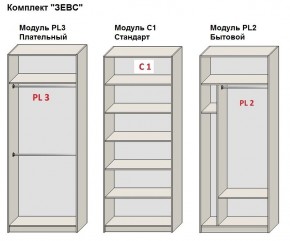 Шкаф распашной серия «ЗЕВС» (PL3/С1/PL2) в Ишиме - ishim.ok-mebel.com | фото 2