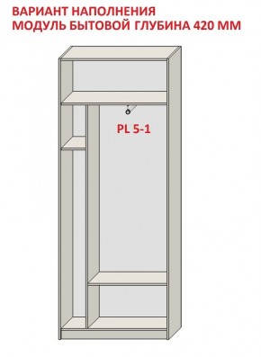 Шкаф распашной серия «ЗЕВС» (PL3/С1/PL2) в Ишиме - ishim.ok-mebel.com | фото 4