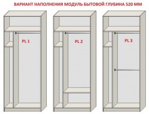 Шкаф распашной серия «ЗЕВС» (PL3/С1/PL2) в Ишиме - ishim.ok-mebel.com | фото 5