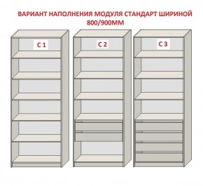 Шкаф распашной серия «ЗЕВС» (PL3/С1/PL2) в Ишиме - ishim.ok-mebel.com | фото 6