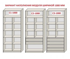 Шкаф распашной серия «ЗЕВС» (PL3/С1/PL2) в Ишиме - ishim.ok-mebel.com | фото 7