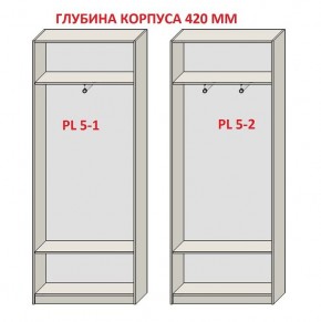 Шкаф распашной серия «ЗЕВС» (PL3/С1/PL2) в Ишиме - ishim.ok-mebel.com | фото 8