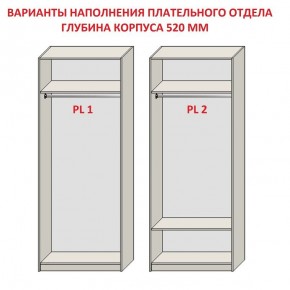 Шкаф распашной серия «ЗЕВС» (PL3/С1/PL2) в Ишиме - ishim.ok-mebel.com | фото 9