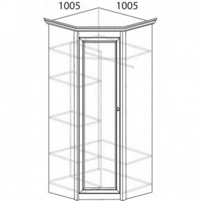 Шкаф угловой №662 "Флоренция" Фасад глухой (угол 1005*1005) Дуб оксфорд в Ишиме - ishim.ok-mebel.com | фото 3