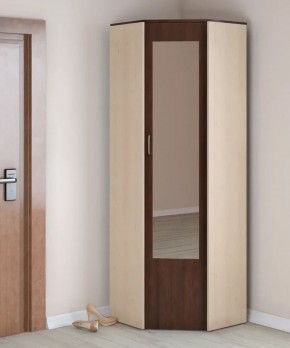 Шкаф угловой с зеркалом "Ольга 9.2" в Ишиме - ishim.ok-mebel.com | фото 1