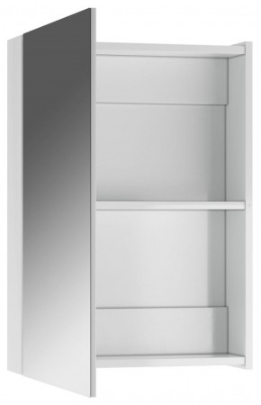 Шкаф-зеркало Норма 50 1 дверь АЙСБЕРГ (DA1621HZ) в Ишиме - ishim.ok-mebel.com | фото 2