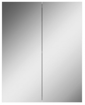 Шкаф-зеркало Норма 55 2 двери АЙСБЕРГ (DA1638HZ) в Ишиме - ishim.ok-mebel.com | фото 4