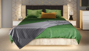 Спальня Джулия Кровать 160 МИ с подъемным механизмом Дуб крафт серый в Ишиме - ishim.ok-mebel.com | фото 4