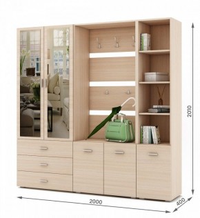 Стенка для прихожей Мартин-3 в Ишиме - ishim.ok-mebel.com | фото 2