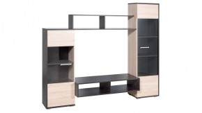 Стенка Рио в Ишиме - ishim.ok-mebel.com | фото 2