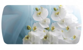 Стол Бостон-3 (Белая Орхидея) 1100/1420*700, опора Брифинг в Ишиме - ishim.ok-mebel.com | фото 2