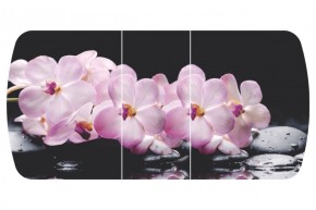 Стол Бостон-3 (Розовая Орхидея) 1100/1420*700, опора Брифинг в Ишиме - ishim.ok-mebel.com | фото 2