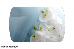 Стол Бостон 900*600 (опоры Брифинг) Стекло/фотопечать Белая Орхидея в Ишиме - ishim.ok-mebel.com | фото