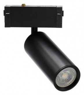 Светильник на штанге Aployt Magnetic track 220 APL.0209.00.01 в Ишиме - ishim.ok-mebel.com | фото