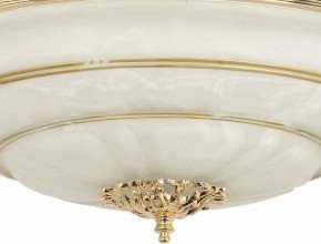 Светильник на штанге Arti Lampadari Pavia Pavia E 1.13.P40 G в Ишиме - ishim.ok-mebel.com | фото 3