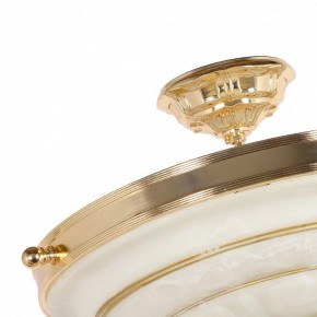 Светильник на штанге Arti Lampadari Pavia Pavia E 1.13.P40 G в Ишиме - ishim.ok-mebel.com | фото 4