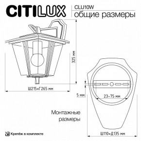 Светильник на штанге Citilux FORTS CLU10W в Ишиме - ishim.ok-mebel.com | фото 9