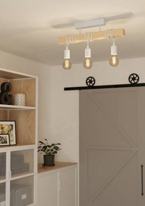 Светильник на штанге Eglo TOWNSHEND 44082 в Ишиме - ishim.ok-mebel.com | фото 2