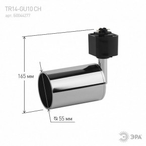 Светильник на штанге Эра  TR14-GU10 CH в Ишиме - ishim.ok-mebel.com | фото 4