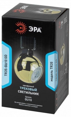 Светильник на штанге Эра  TR35-GU10 GD в Ишиме - ishim.ok-mebel.com | фото 3