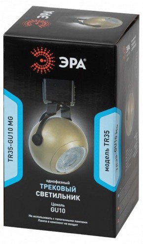 Светильник на штанге Эра  TR35-GU10 MG в Ишиме - ishim.ok-mebel.com | фото 4