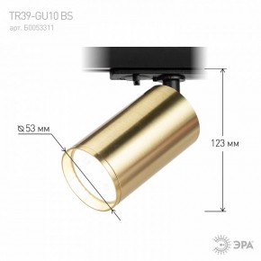 Светильник на штанге Эра  TR39-GU10 BS в Ишиме - ishim.ok-mebel.com | фото 6