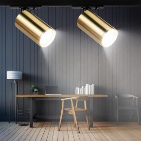 Светильник на штанге Эра  TR39-GU10 BS в Ишиме - ishim.ok-mebel.com | фото 7