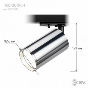 Светильник на штанге Эра  TR39-GU10 СН в Ишиме - ishim.ok-mebel.com | фото 7
