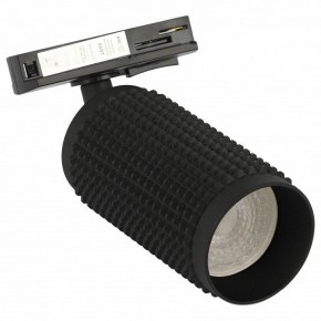 Светильник на штанге Эра  TR40-GU10 BK в Ишиме - ishim.ok-mebel.com | фото