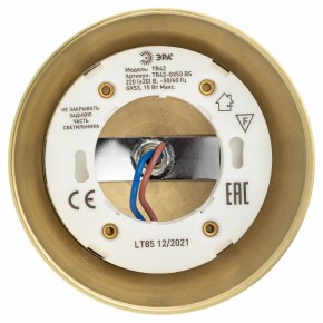 Светильник на штанге Эра  TR42-GX53 BS в Ишиме - ishim.ok-mebel.com | фото 5