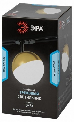 Светильник на штанге Эра  TR42-GX53 BS в Ишиме - ishim.ok-mebel.com | фото 6
