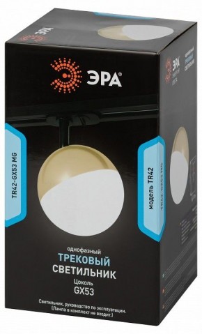 Светильник на штанге Эра  TR42-GX53 MG в Ишиме - ishim.ok-mebel.com | фото 6