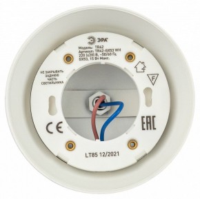 Светильник на штанге Эра  TR42-GX53 WH в Ишиме - ishim.ok-mebel.com | фото 5