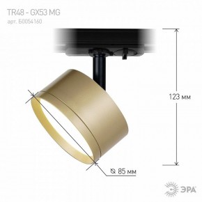 Светильник на штанге Эра  TR48 - GX53 MG в Ишиме - ishim.ok-mebel.com | фото 4