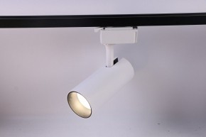 Светильник на штанге Эра  TR5-20 COB WH в Ишиме - ishim.ok-mebel.com | фото 2
