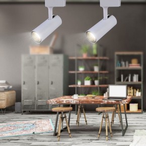Светильник на штанге Эра  TR5-20 COB WH в Ишиме - ishim.ok-mebel.com | фото 4