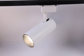 Светильник на штанге Эра  TR5-30 COB WH в Ишиме - ishim.ok-mebel.com | фото 2