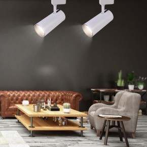 Светильник на штанге Эра  TR5-30 COB WH в Ишиме - ishim.ok-mebel.com | фото 5