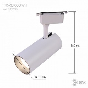 Светильник на штанге Эра  TR5-30 COB WH в Ишиме - ishim.ok-mebel.com | фото 6