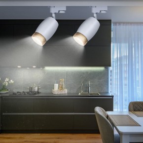Светильник на штанге Эра  TR51 - GU10 WH в Ишиме - ishim.ok-mebel.com | фото 3