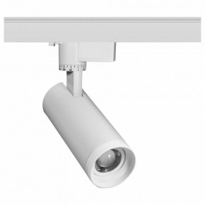 Светильник на штанге Эра  TR59 - 2030 WH в Ишиме - ishim.ok-mebel.com | фото
