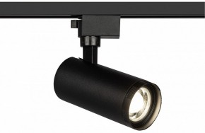 Светильник на штанге Эра  TR59 - 2040 BK в Ишиме - ishim.ok-mebel.com | фото