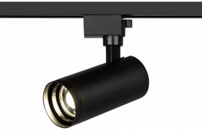 Светильник на штанге Эра  TR59 - 2040 BK в Ишиме - ishim.ok-mebel.com | фото 5