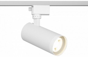 Светильник на штанге Эра  TR59 - 2040 WH в Ишиме - ishim.ok-mebel.com | фото