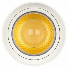 Светильник на штанге Эра  TR59 - 2040 WH в Ишиме - ishim.ok-mebel.com | фото 3