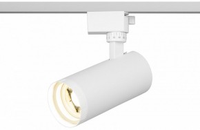 Светильник на штанге Эра  TR59 - 2040 WH в Ишиме - ishim.ok-mebel.com | фото 5