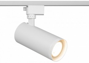 Светильник на штанге Эра  TR59 - 3030 WH в Ишиме - ishim.ok-mebel.com | фото