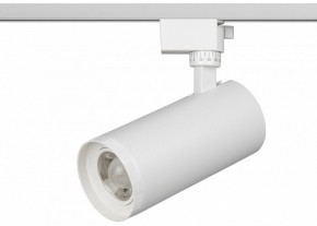 Светильник на штанге Эра  TR59 - 3030 WH в Ишиме - ishim.ok-mebel.com | фото 2